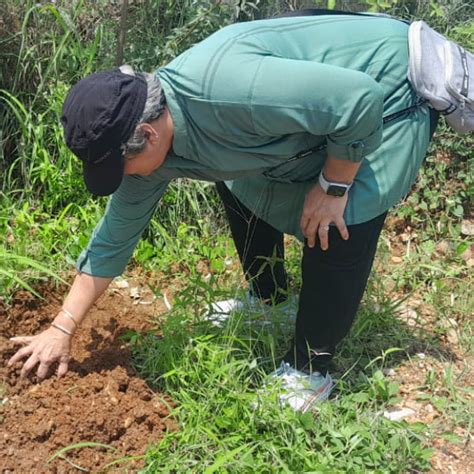 "Gensol Delhi’s Urban Forest Initiative: Nurturing Nature, Inspiring ...