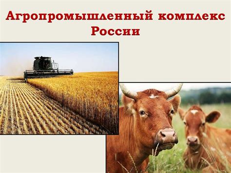 Агропромышленный комплекс России - презентация онлайн