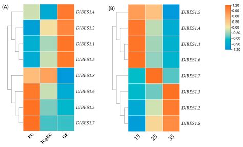 Genome Identification, Expression Profile Analysis, and Abiotic Stress ...