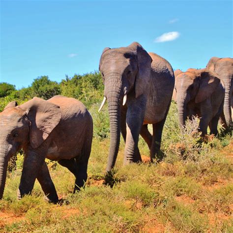 BUNJO STEVEN (2026) All You Need to Know BEFORE You Go (with Photos ...