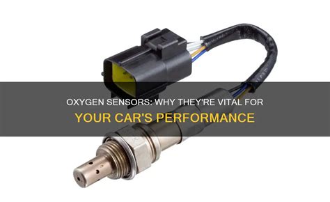 Image result for O2 Sensors for Performance Cars