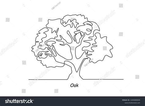Line Drawing Oak Tree