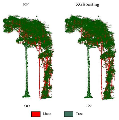 Extraction of Liana Stems Using Geometric Features from Terrestrial ...