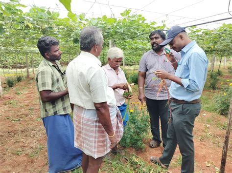 Diagnostic Visit to Pandhal Lab lab – CENDECT KVK