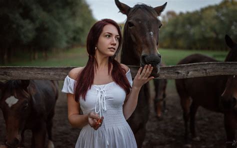 Download wallpaper animals, girl, nature, horses, dress, neckline ...
