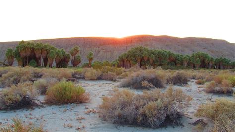 The Best Oasis Hikes in Greater Palm Springs