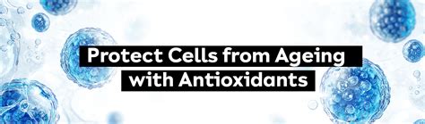 Protect Cells from Ageing with Antioxidants for Radiant Skin – White ...