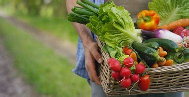 Vegetable Garden Layout – Ugaoo