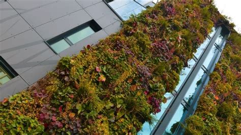 Sustainability in the workplace | Signify Company Website