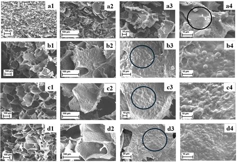 Encapsulation of Pink Pepper Essential Oil (Schinus terebinthifolius ...