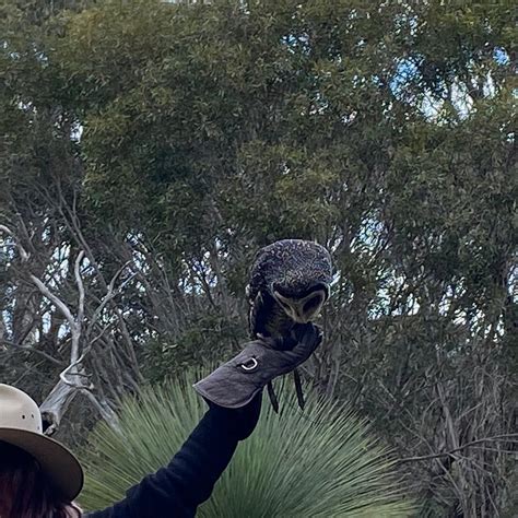 RAPTOR DOMAIN - All You Need to Know BEFORE You Go 2026 (with Photos ...