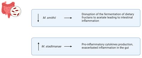 The Role of Gut Microbiota in Gastrointestinal Immune Homeostasis and ...