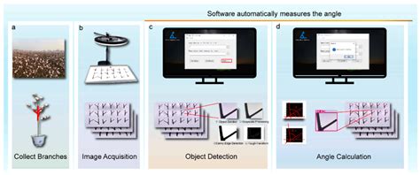 Application of Deep Learning Technology in Monitoring Plant Attribute ...