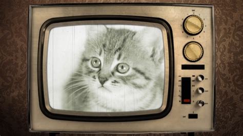 Image result for Retro Video Programs