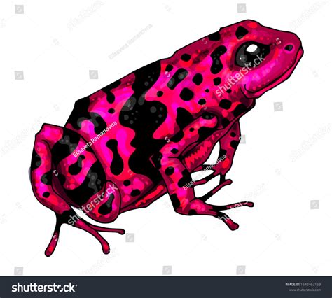 Poison Dart Frog Pink