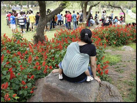 The Master of Vision | Sony Alpha Community