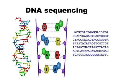 Image result for DNA Sequencing