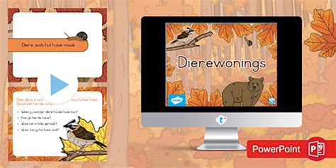 Graad 2 Dierewonings PowerPoint (teacher made) - Twinkl