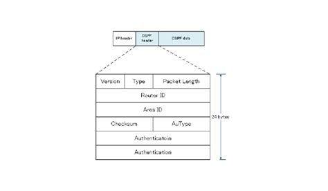 Image result for IP Ospf Database Contents Explained