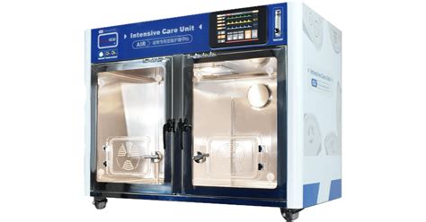 Intensive 的图像结果