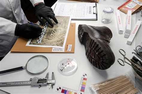 Forensic DNA 的图像结果