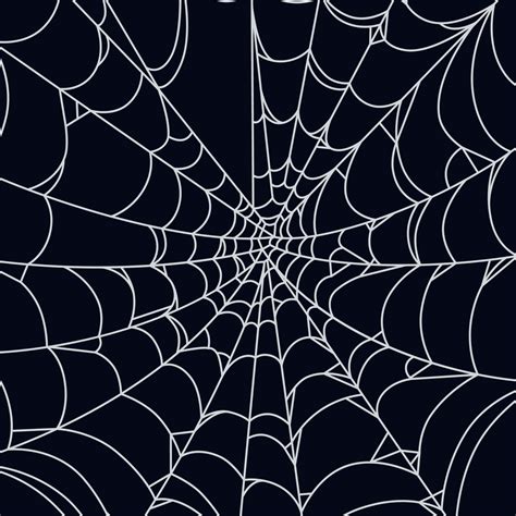 Spider Web Phone Wallpapers - Top Free Spider Web Phone Backgrounds ...