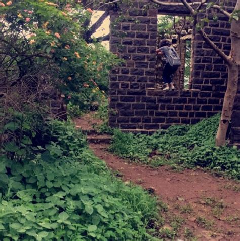 Need A Cool, Green Escape? The Taljai Hills Are The Perfect Place For A ...