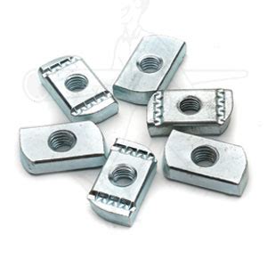 Image result for Spring Channel Nuts