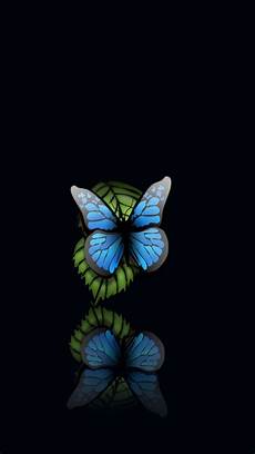 Free Butterfly Wallpaper For Android by Free Butterfly Backgrounds For Android Pixelstalk Net Free Butterfly Wallpaper For Android