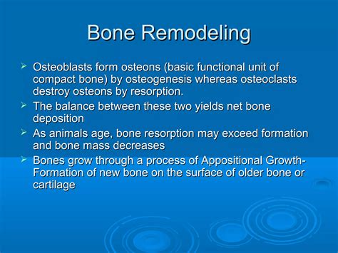 Image result for Process of Bone Formation