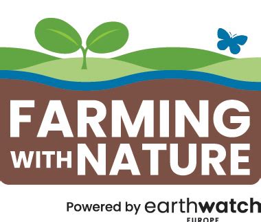 Image result for Example of Good Project