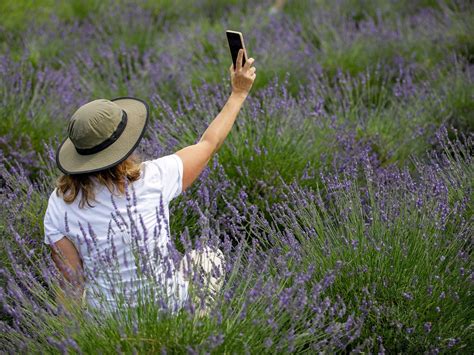 FARMSTEAD 1868 (2026) All You Need to Know BEFORE You Go (with Photos ...