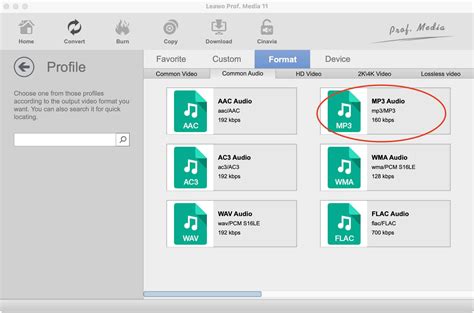 Open WMA File 的图像结果