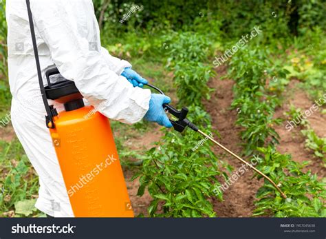 Weed Killer Herbicide Glyphosate Spraying Non-organic Stock Photo ...