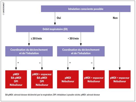 Systèmes d’inhalation: quel inhalateur pour quel patient? - Médecine ...