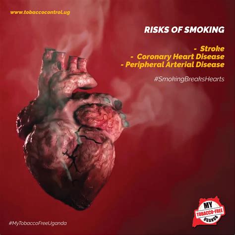 Smokeless Tobacco And Heart Rate at Tyler Mckinley blog