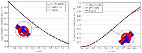 Fractional Clique Collocation Technique for Numerical Simulations of ...