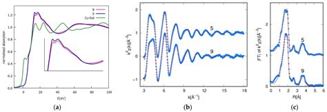 Exploring the Antitumor Potential of Copper Complexes Based on Ester ...