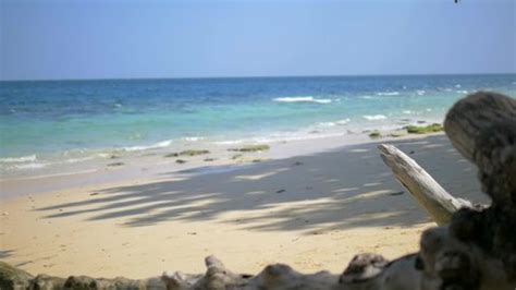 Image result for Background for Website of Programming Language Java