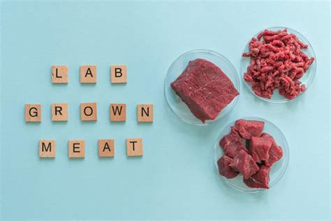 Image result for Lab-Grown Process
