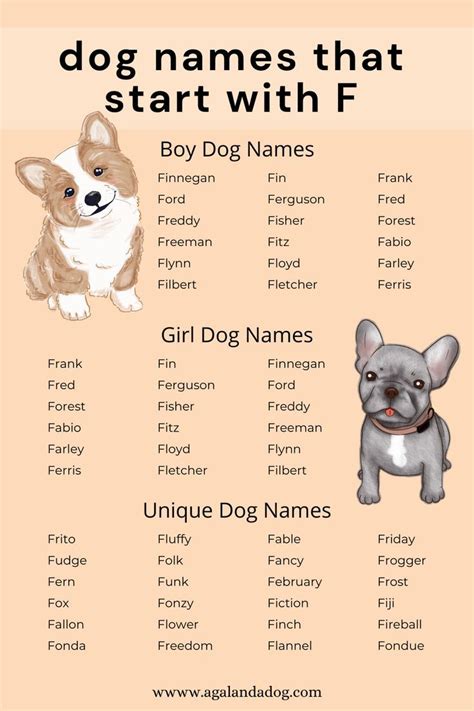FANTASTIC Dog Names That Start With F | Dog names, Boy dog names, Girl ...