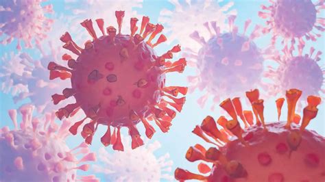 Subclade K Flu Variant Explained: Symptoms, Risks, And How To Stay Safe ...