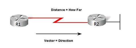 Network Distance Vector 的图像结果