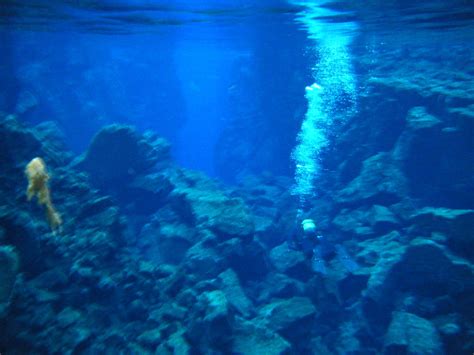 DIVE.IS - SILFRA (2026) All You Need to Know BEFORE You Go (with Photos ...