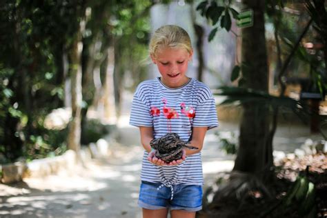 Akumal Monkey Sanctuary and Rescued Animals Tickets - Hellotickets