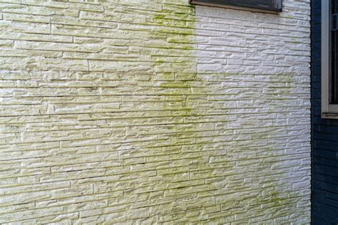 あれれ、壁にコケなの・・・？？？｜現場ブログ｜北九州市の外壁・屋根塗装なら外壁塗装専門館におまかせ