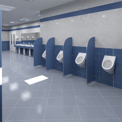 Inspection Report | SARAS 5.0