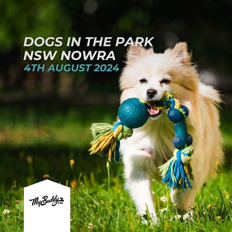 My Buddy And Me on LinkedIn: #mybuddyandme #petcare #petshampoo # ...