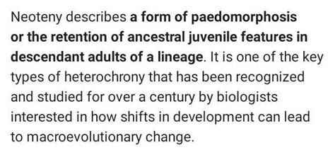 Neoteny is related to - Brainly.in