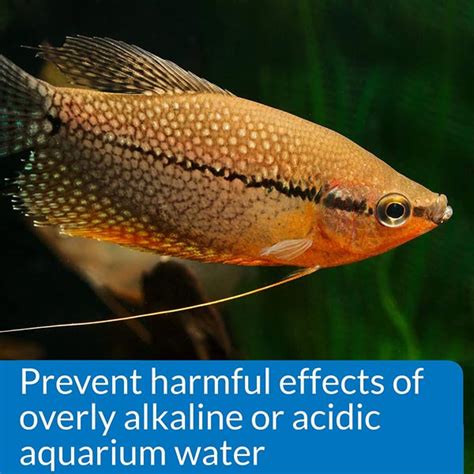 Image result for API Ph Test Kit